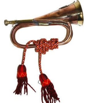 corne 30 cm