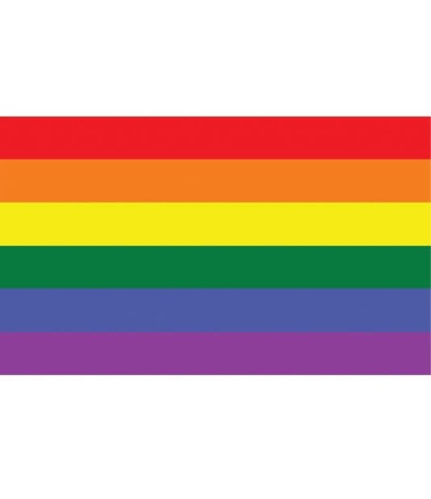 vlag regenboog 90 x 150 cm