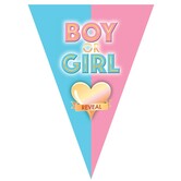Vlaggenlijn boy or girl reveal 5 m