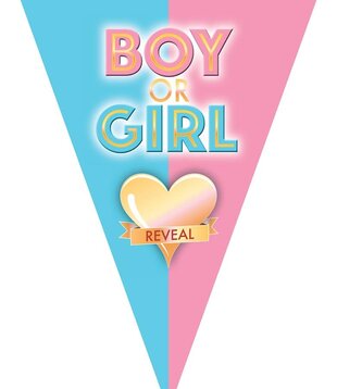 Boy or girl reveal bunting 5 m