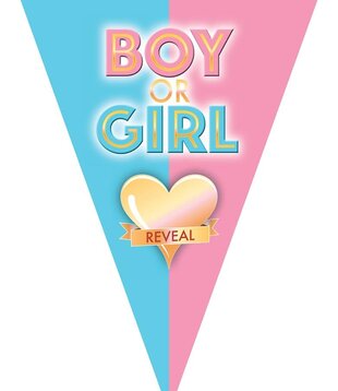 Vlaggenlijn boy or girl reveal 5 m