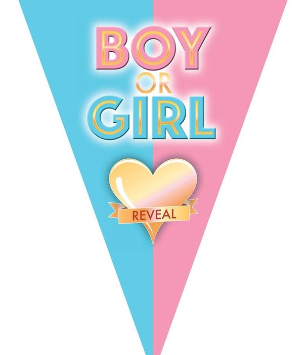 Vlaggenlijn boy or girl reveal 5 m