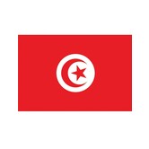 Drapeau tunisien 90 x 150 cm