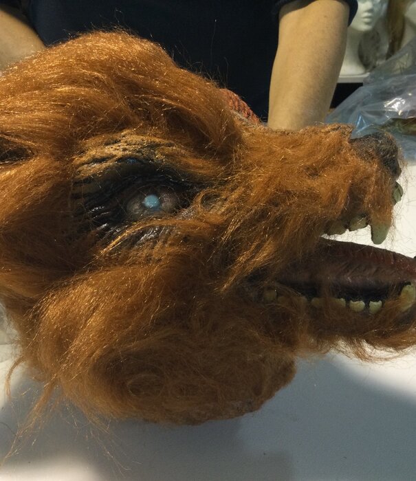 wolf head
