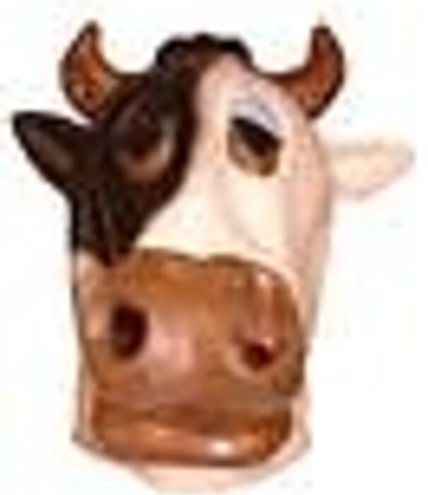 latex masker koe
