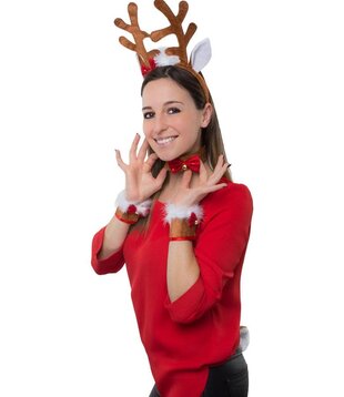 Reindeer set