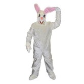 Mascot white rabbit Randy