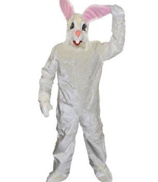 Mascotte lapin blanc Randy