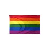 Vlag regenboog 90 x 150cm