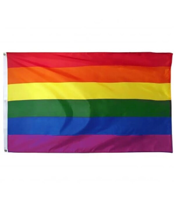 Vlag regenboog 90 x 150cm