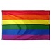 Vlag regenboog 90 x 150cm