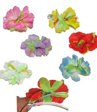 Pince à cheveux fleurie, 6 couleurs assorties (1 pièce)