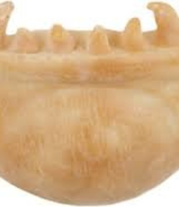 grimas Menton de loup-garou en latex Grimas 503