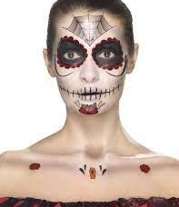 Day of the dead make up kit