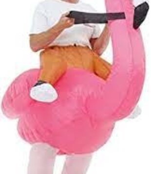 Inflatable riding flamingo