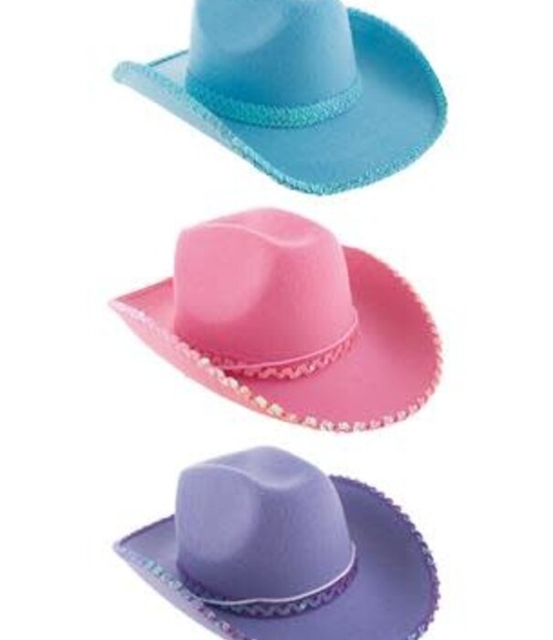 cowgirl hat blue or light purple