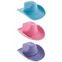 chapeau de cowgirl bleu ou violet clair