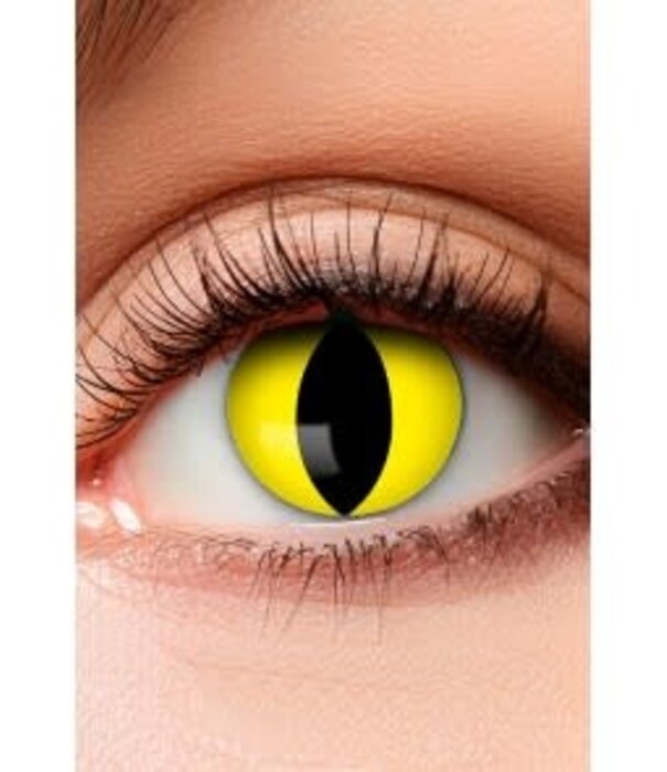 lenses 3 month cat yellow