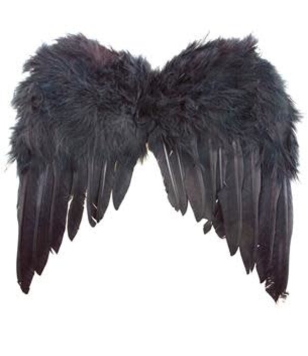 vleugels zwarte veren 33x34cm