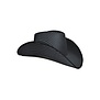 cowboy hat pinstripe