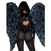ailes noires, plumes, 109 cm