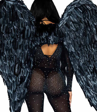 ailes noires, plumes, 109 cm