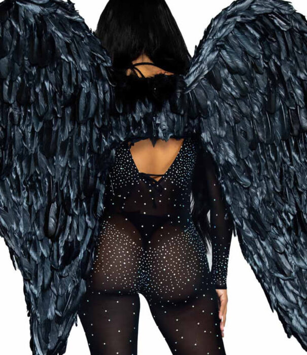 ailes noires, plumes, 109 cm