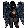 vleugels zwart pluimen 109cm