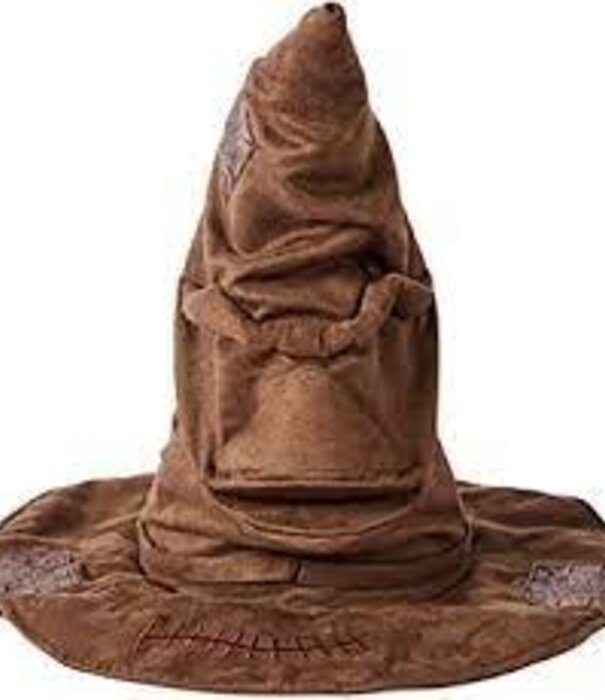 Huis Baeyens HARRY POTTER kleine kindermaat -  hoed  met geluid accessoire - sorteerhoed