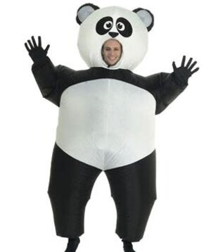 panda gonflable