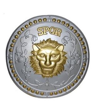 Shield 50cm