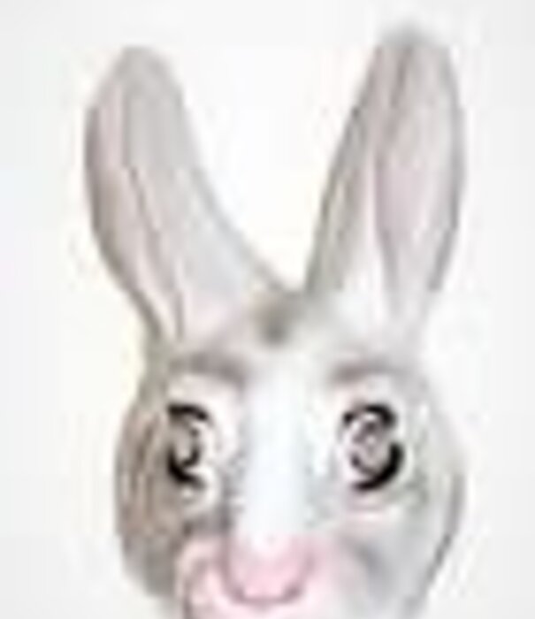 plastiek masker  Konijn