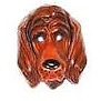 plastiek masker hond