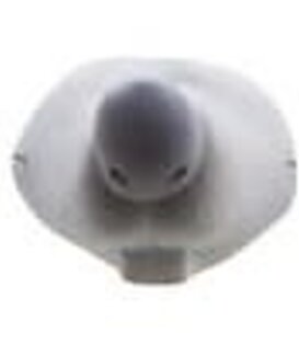 dierenneus muis/knaagdier