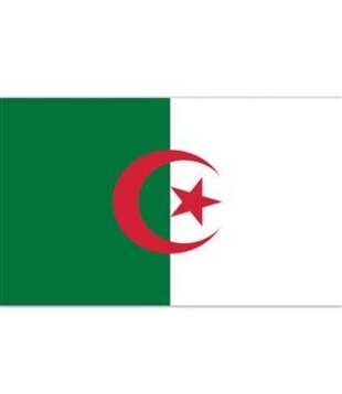 Drapeau algérien 90x150cm