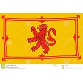 vlag schotland 90 x 150cm