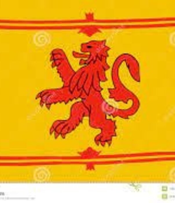 espa vlag schotland 90 x 150cm