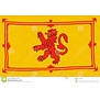 vlag schotland 90 x 150cm