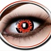 Lenses Vampire/Volturi 3 months