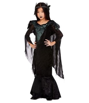 Robe de princesse corbeau avec coiffe