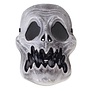 plastic skull mask