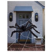 Groot Spinnenweb Kit voor binnen of buiten + spin