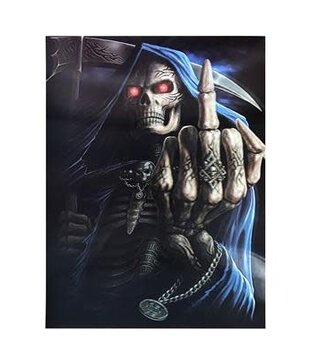 Affiche hologramme 5D 30x40cm