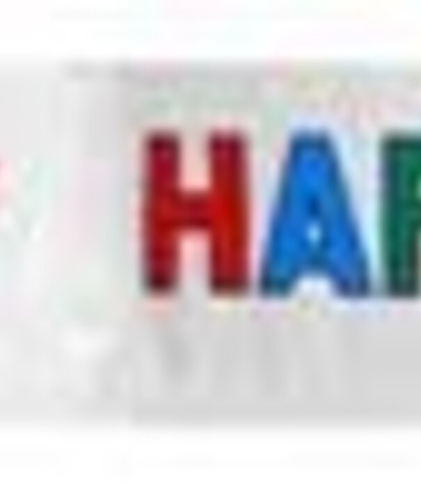 BANNER HAPPY BIRTHDAY 17 X 360 CM