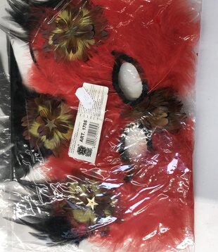 masque à plumes