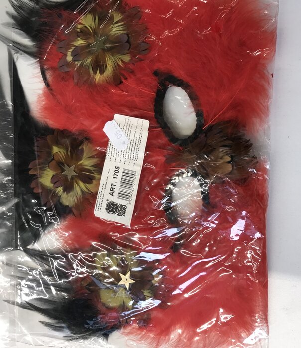 Huis Baeyens masque à plumes