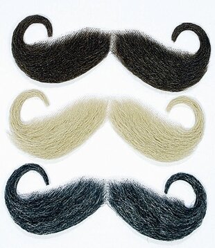 moustache Wilhelm blonde