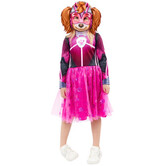 Paw Patrol Skye Glow in the dark