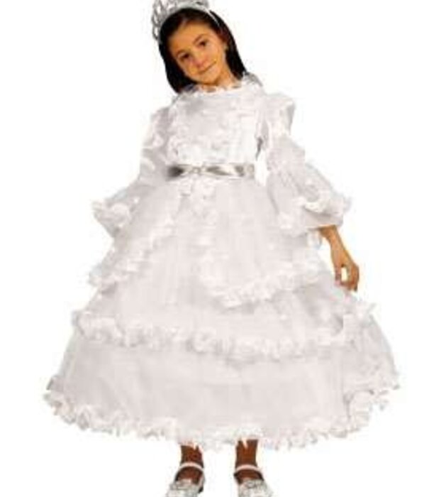 princesse des neiges