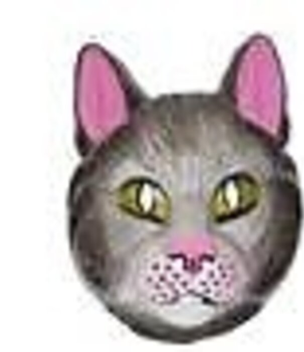 plastic cat mask